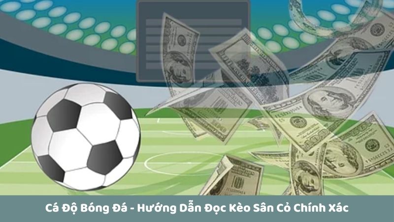 Cá độ bóng đá Bet88