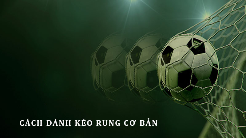 Một số cách đặt cược Running Ball nổi bật nhất